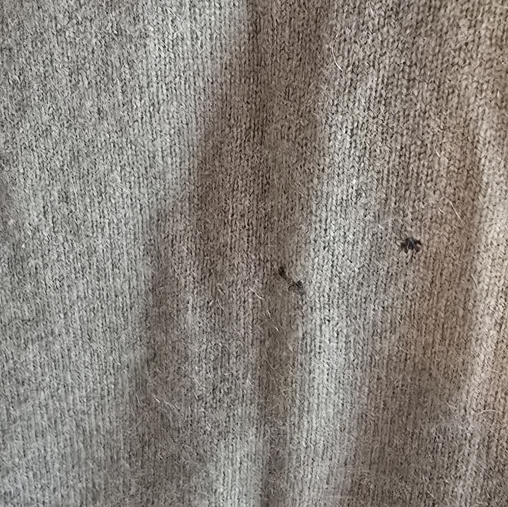 Cashmere Juicy Couture Kelly Green Sweater Dress - Picture 5 of 8